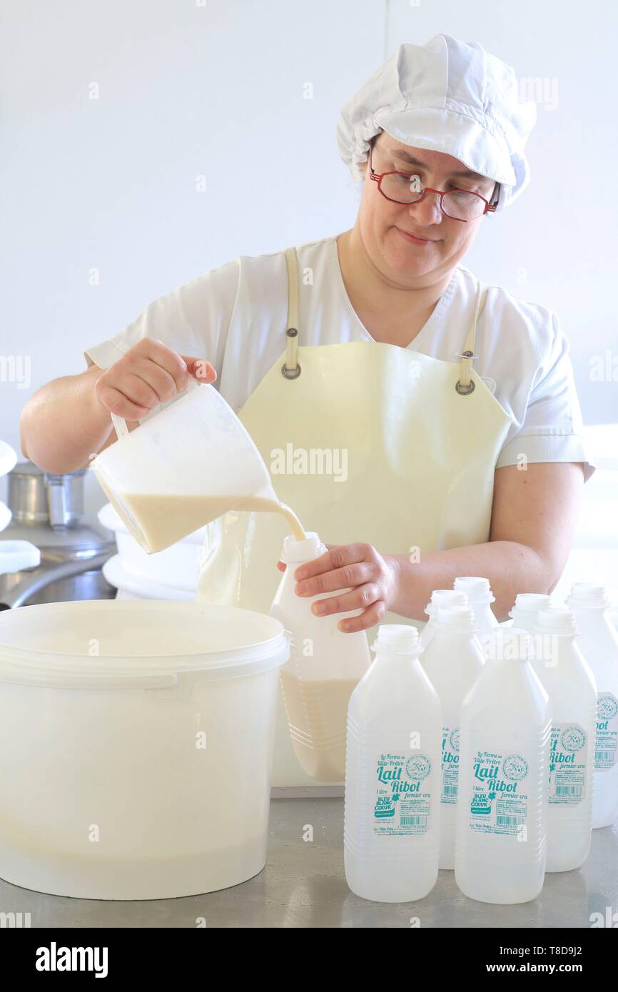 France, Ille et Vilaine, Pleine FougÞres, Ville PrÛtre farm which sells products directly on the farm, making Ribot milk (or buttermilk) made from raw milk Stock Photo