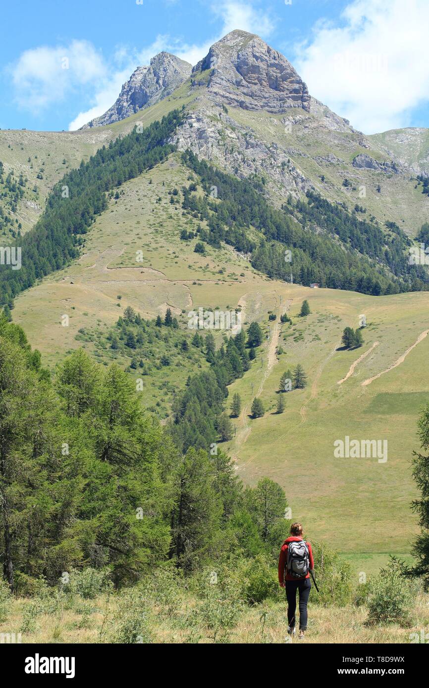 France, Hautes Alpes, Haut Champsaur, Ancelle, hiker Stock Photo