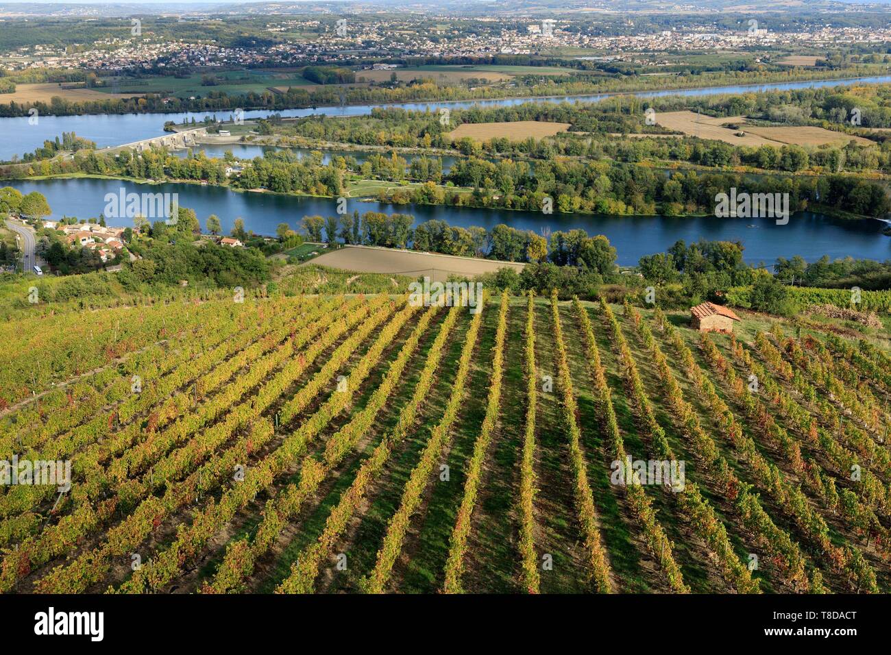 France, Loire, Saint Pierre de Boeuf, lake Batalon and dam on the Rhone, vineyard appellation Condrieu (aerial view) Stock Photo