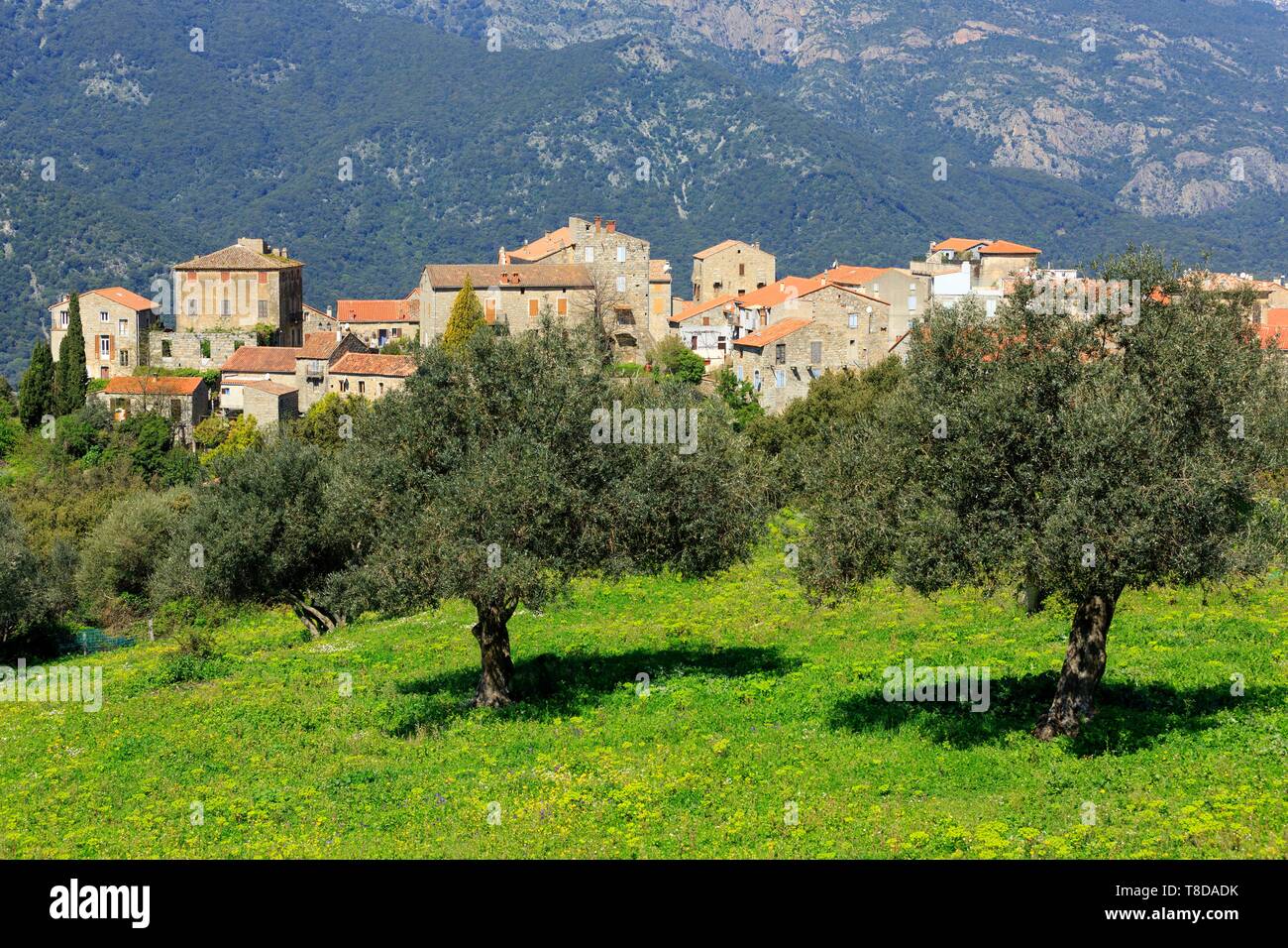 Sainte lucie de tallano hi-res stock photography and images - Alamy