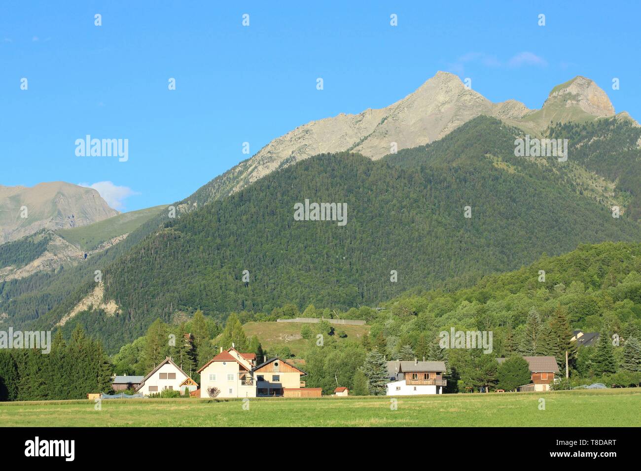 France, Hautes Alpes, Haut Champsaur, Ancelle Stock Photo