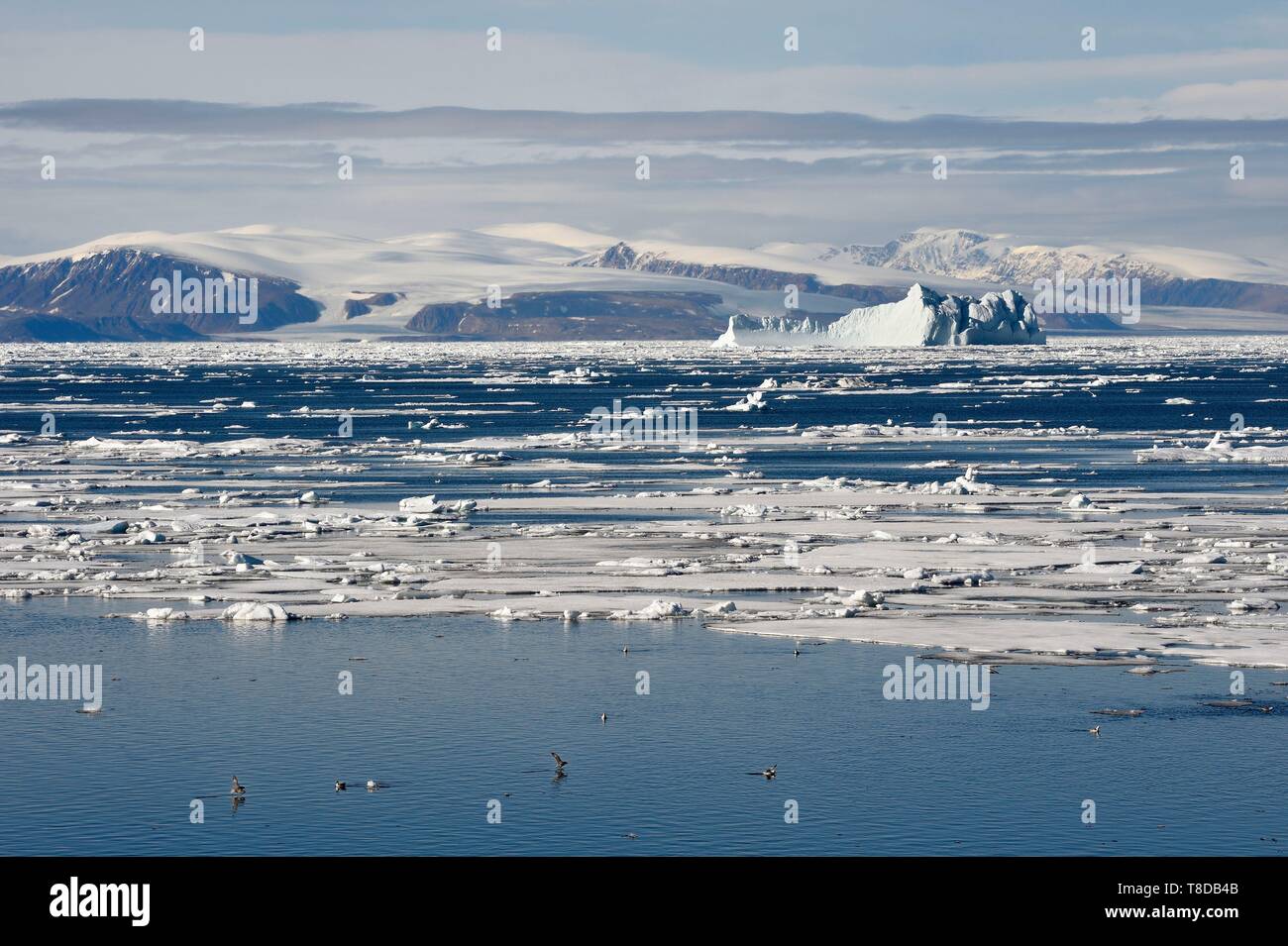 Greenland, North West coast, Smith sound north of Baffin Bay, broken pieces of Arctic sea ice and giant iceberg in the background towards the Canadian coast of Ellesmere Island Stock Photo