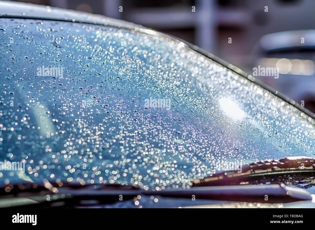 Water droplets, left behind by a summer storm, on the windshield of a Ford Mustang GT glistening in the sun. Stock Photo