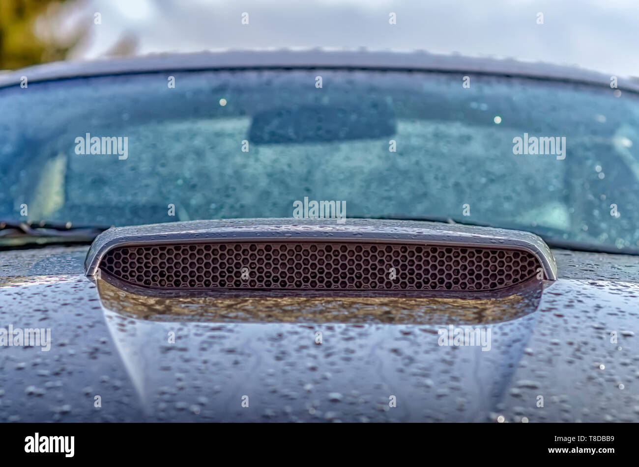 Hood grille insert hires stock photography and images Alamy