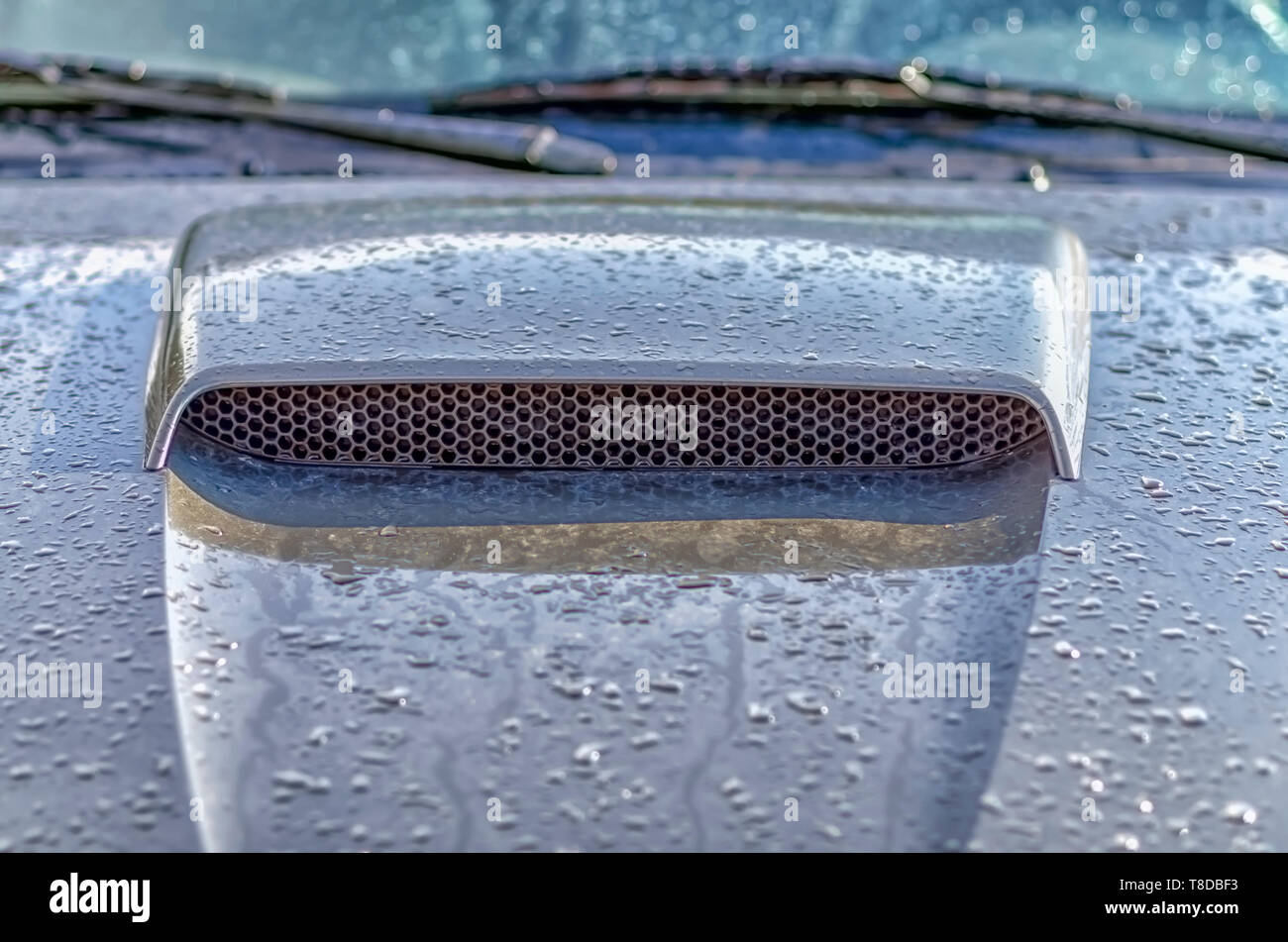 Rain water glistening/dripping off the hood/hood scoop/bonnet of a Ford Mustang GT Coupe after a summer storm. Stock Photo