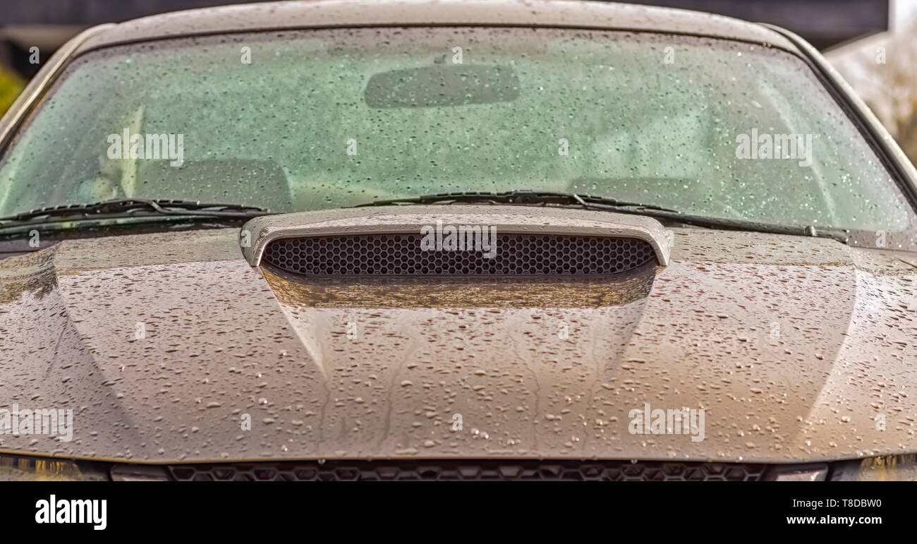 A metallic grey 2001 Ford Mustang GT Coupe covered in water droplets after a summer rain storm. Tiny water drops reflecting light and sparkling. Stock Photo