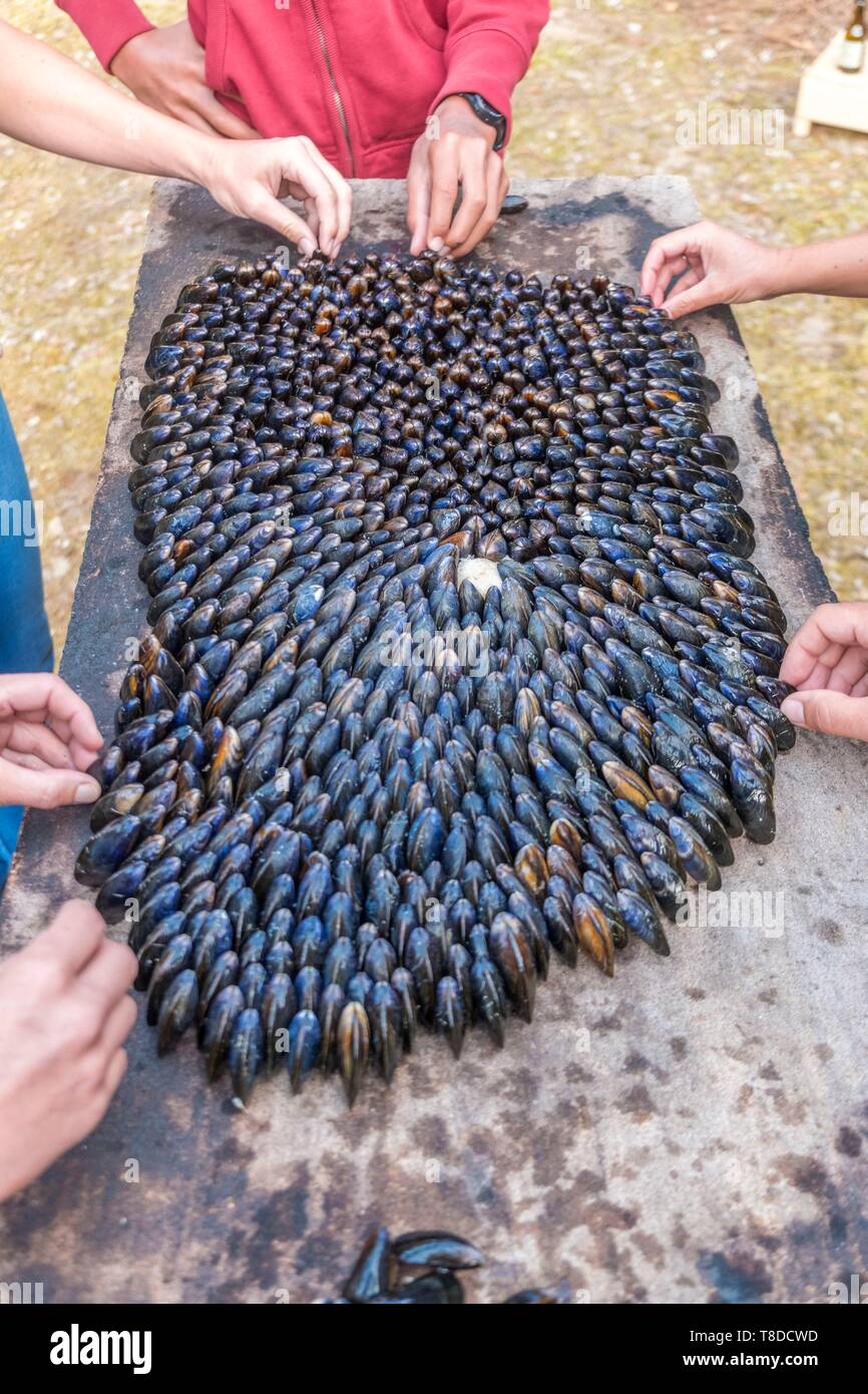 Uclade hires stock photography and images Alamy