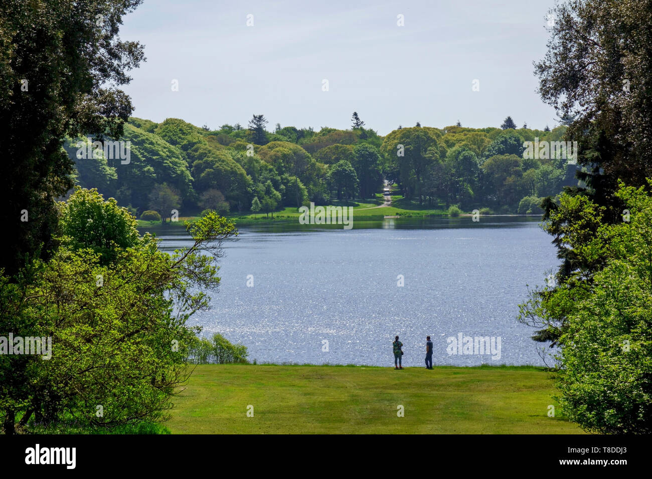 View over the White Loch (or Loch of Inch) at Castle Kennedy Gardens near Stranraer in Wigtownshire, Dumfries and Galloway, Scotland. Stock Photo
