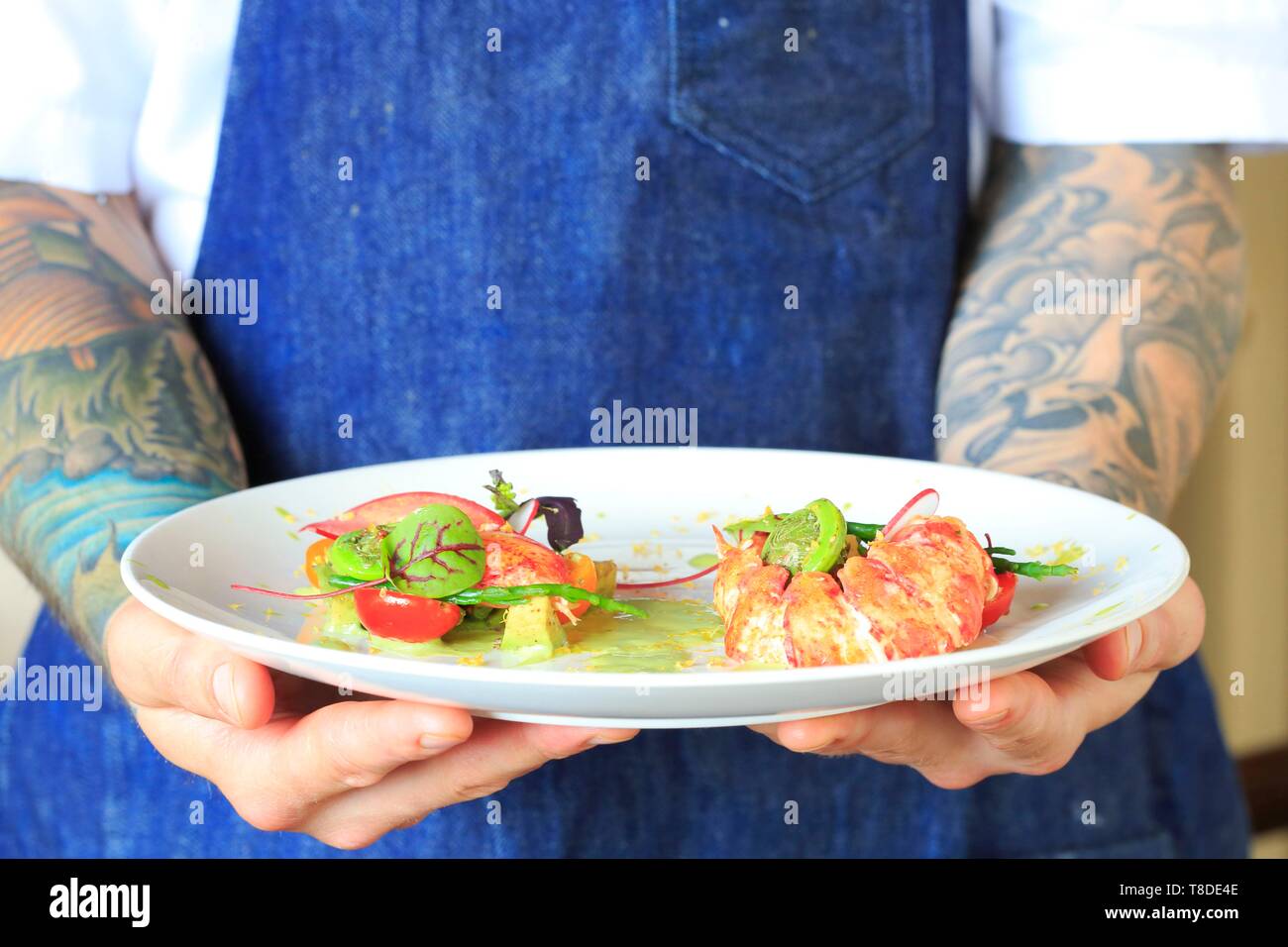 Canada, New Brunswick, Acadie, Moncton, chef Pierre A. Richard's Little Louis restaurant, poached lobster and fiddleheads in salad with avocado, tomatoes and beetroot Stock Photo