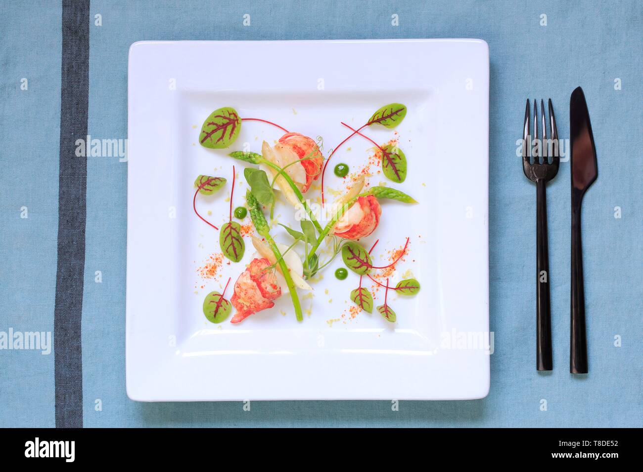 Canada, New Brunswick, Acadie, Moncton, Chef Pierre A. Richard's Little Louis Restaurant, Poached Lobster with Wild Asparagus and Beet Leaves Stock Photo