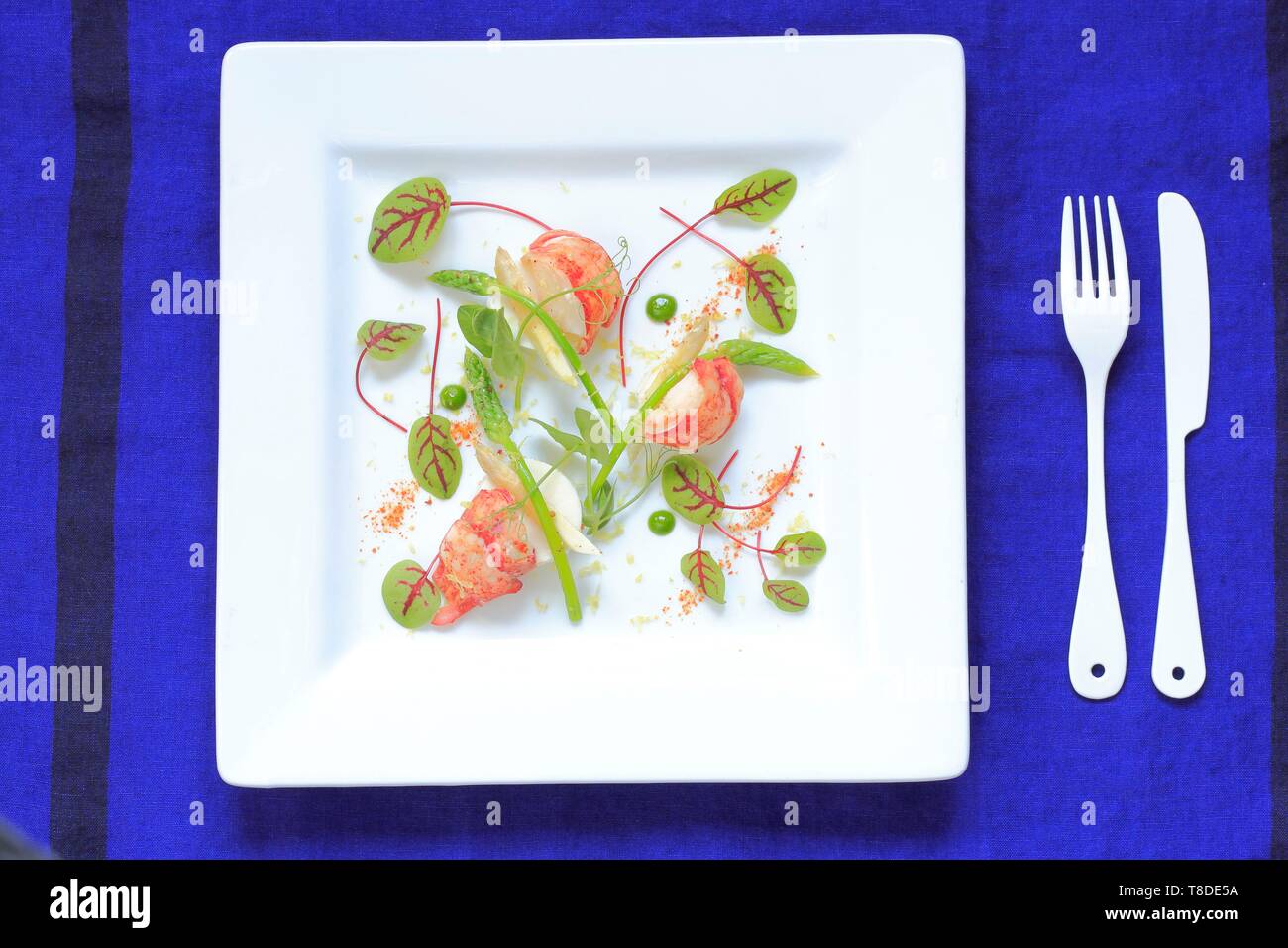 Canada, New Brunswick, Acadie, Moncton, Chef Pierre A. Richard's Little Louis Restaurant, Poached Lobster with Wild Asparagus and Beet Leaves Stock Photo