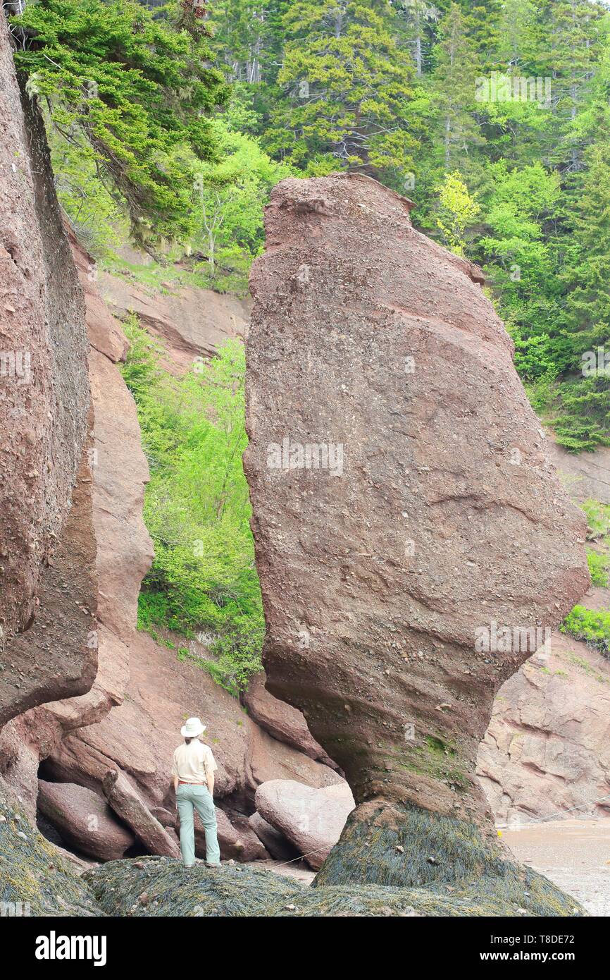 Canada, New Brunswick, Acadie, Albert County, Hopewell Cape, Fundy Biosphere Reserve, Hopewell