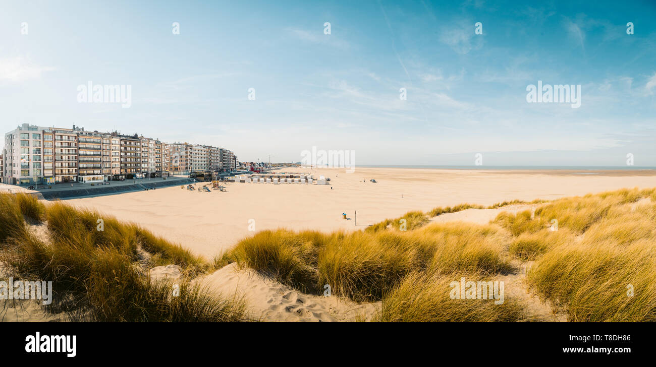 Beautiful panoramic of Zeebrugge beach with sand dunes and hotel buildings on a scenic sunny day with blue sky, Flanders, Belgium Stock Photo