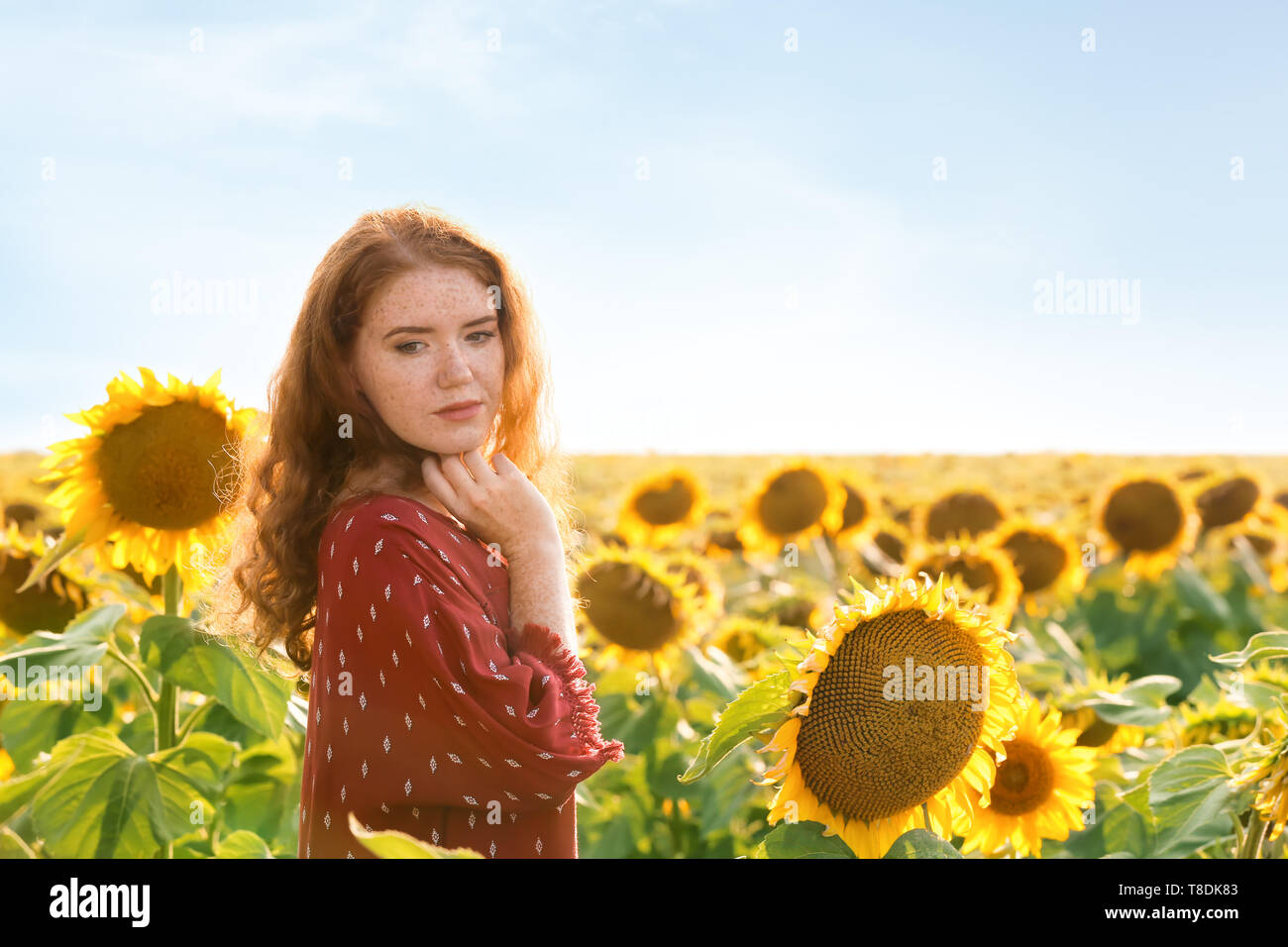 Beautiful redhead woman in sunflower field on sunny day Stock Photo - Alamy