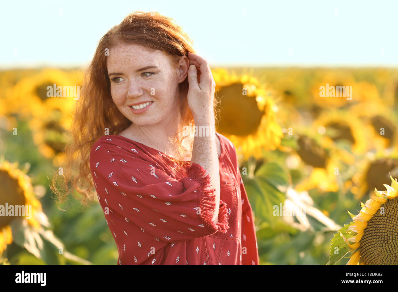 Beautiful redhead woman in sunflower field on sunny day Stock Photo - Alamy