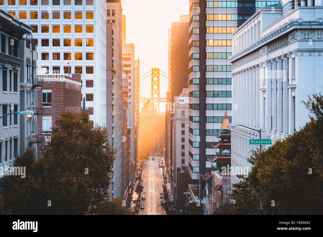 Beautiful view of downtown San Francisco with famous California Street illuminated in first golden morning light at sunrise in summer, San Francisco, Stock Photo