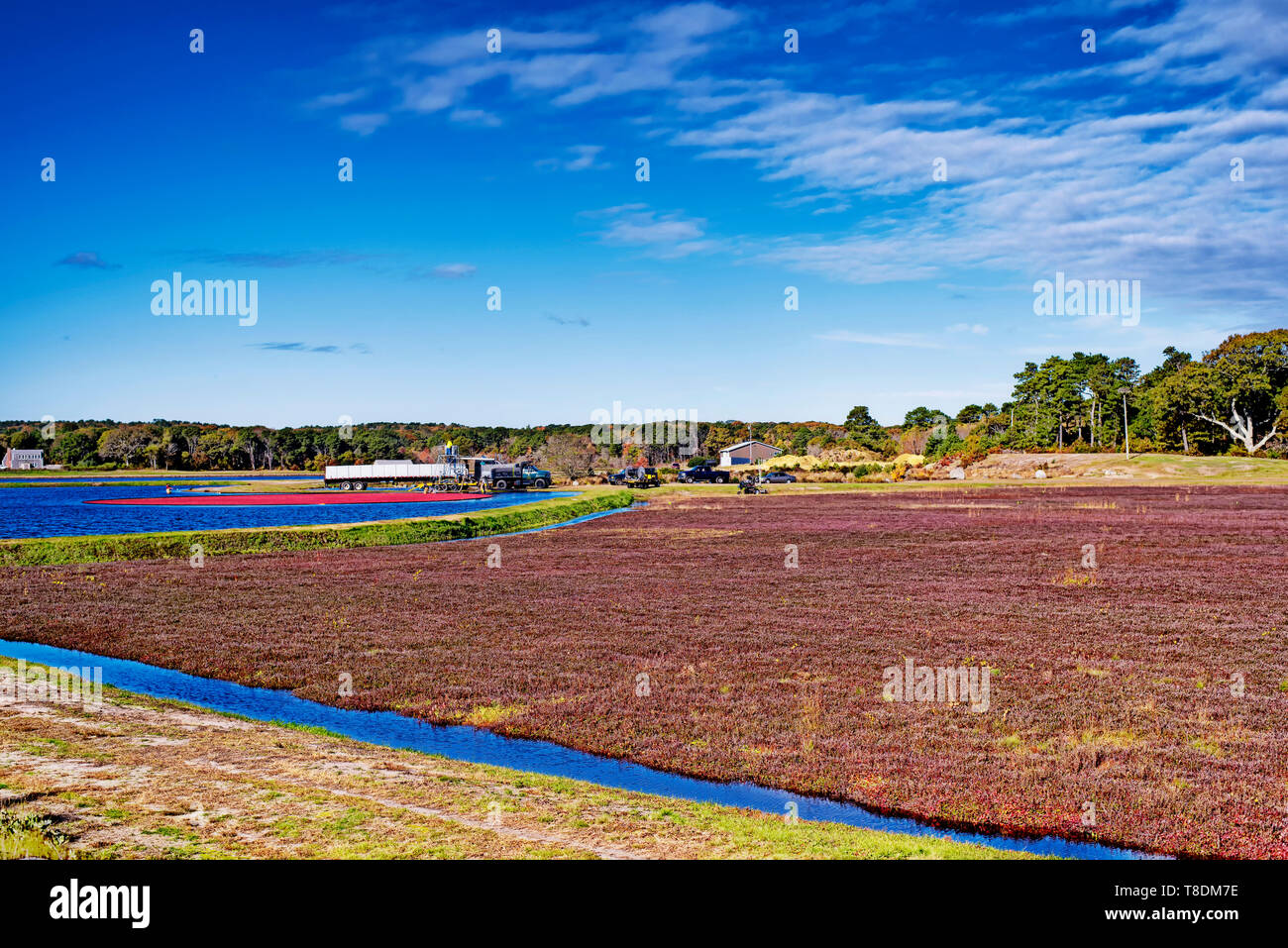 Cranberry bog massachusetts hires stock photography and images Alamy