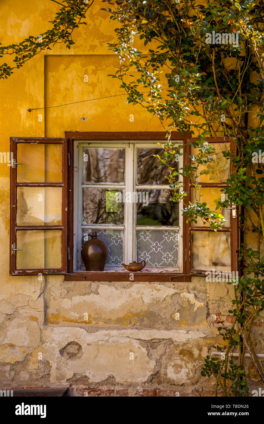 Old farm building and dwelling house, climbing roses and flowers, picturesque windows and doors it is a romantic corner near Milotice Castle, South Mo Stock Photo