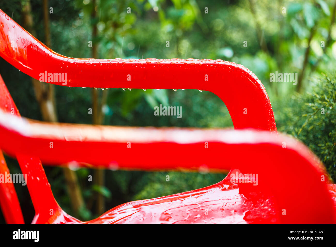 Red plastic garden chairs on the outdoor terrace in the home garden after the rain. Stock Photo