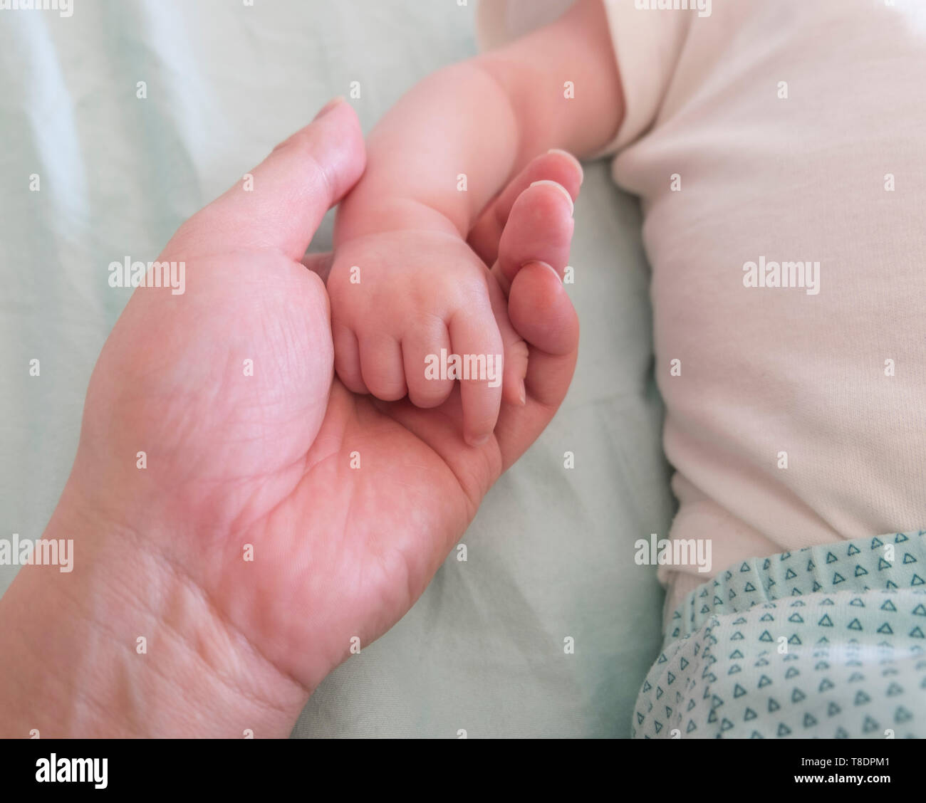 Adult Parent Holding And Cradling Baby's hand Stock Photo