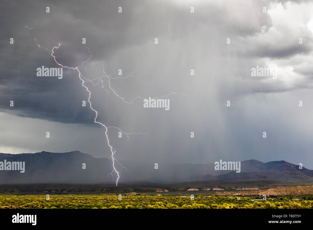 Bright lightning bolt strike with dark clouds and heavy rain from an approaching thunderstorm near Roosevelt Lake, Arizona Stock Photo