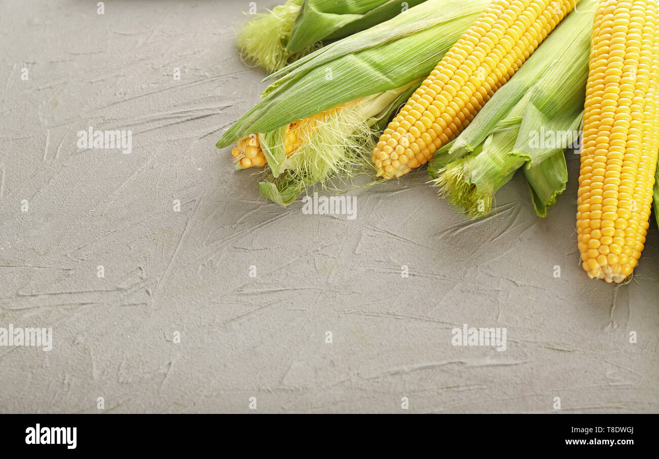 Fresh corn cobs on grey table Stock Photo - Alamy