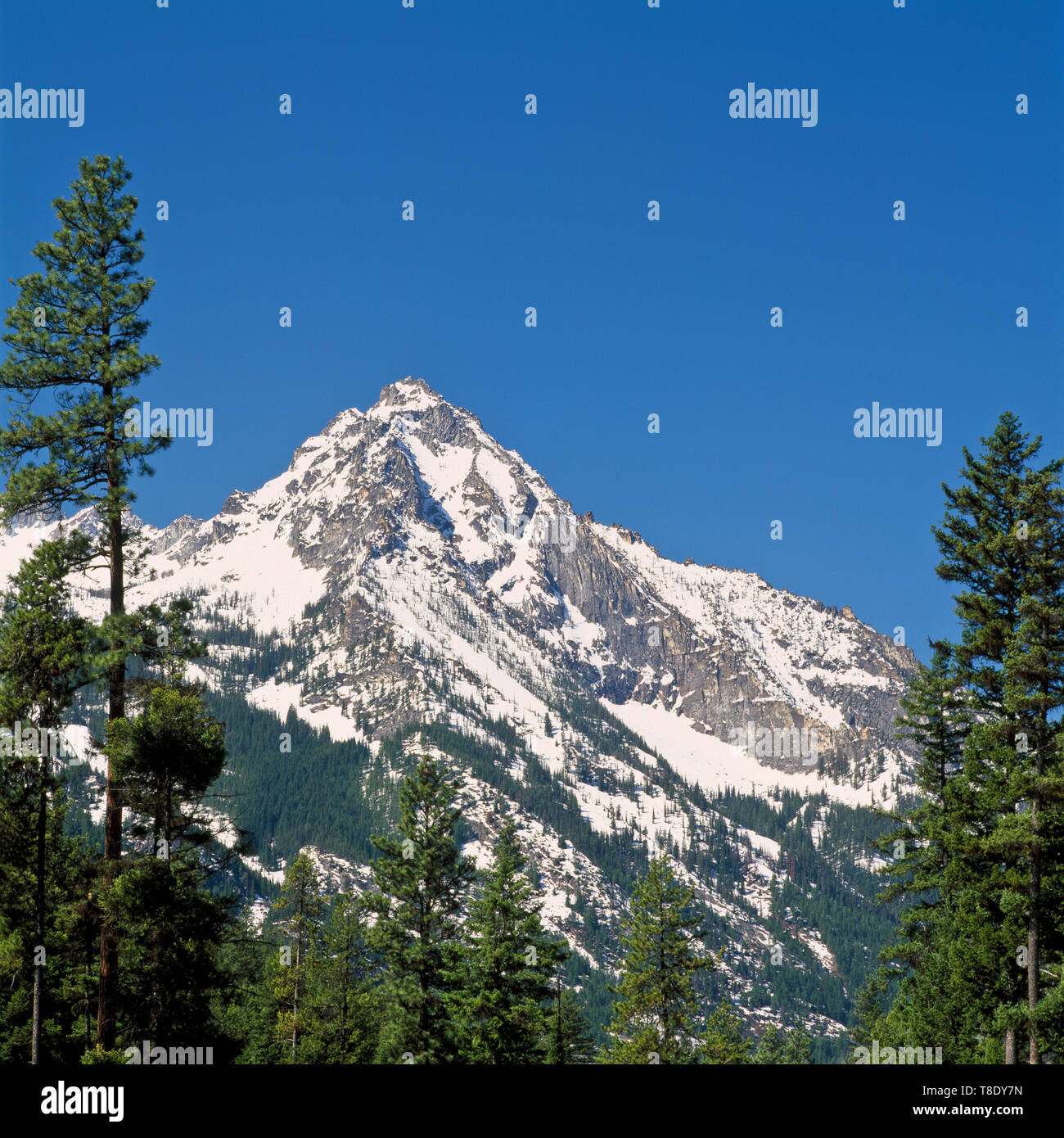 north trapper peak in the bitterroot mountains near darby, montana