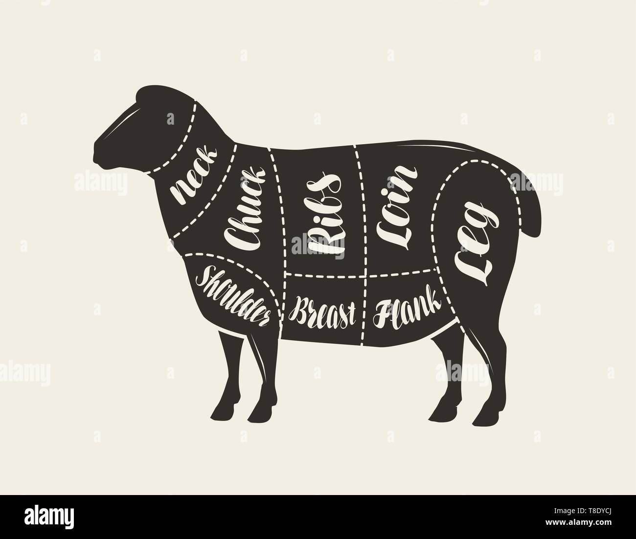 Cut of meat, lamb. Poster butcher diagram and scheme, vector Stock Vector