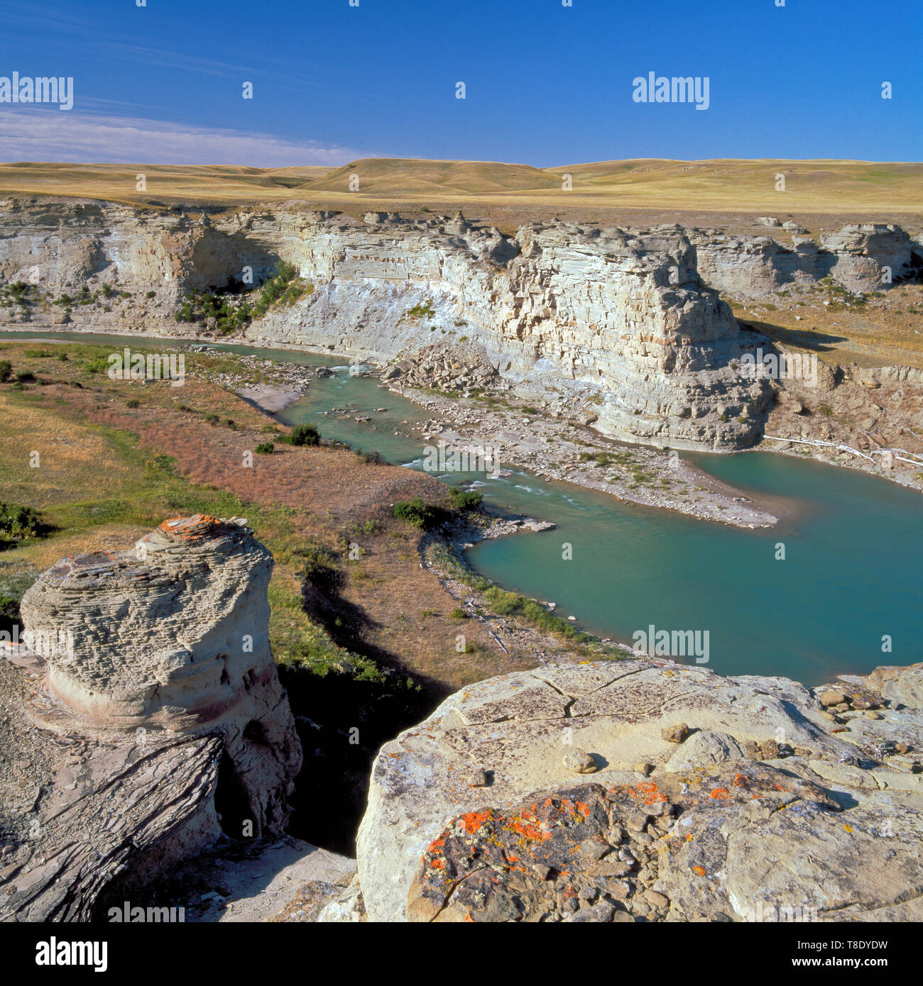 two medicine river in a canyon near valier, montana Stock Photo Alamy