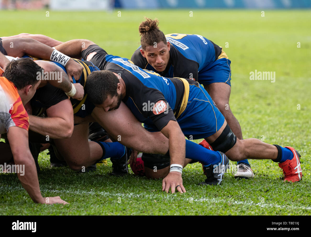 Hong Kong, China. 12th May, 2019. Issak FINES-LELEIWASA feeds the ball into the scrum.Western Force vs South China Tigers Global Rapid Rugby. The Western Force make their inaugural appearance in Hong Kong facing off against the FWD South China Tigers in the finale of the Global Rapid Rugby Asian Showcase Series Credit: Jayne Russell/ZUMA Wire/Alamy Live News Stock Photo