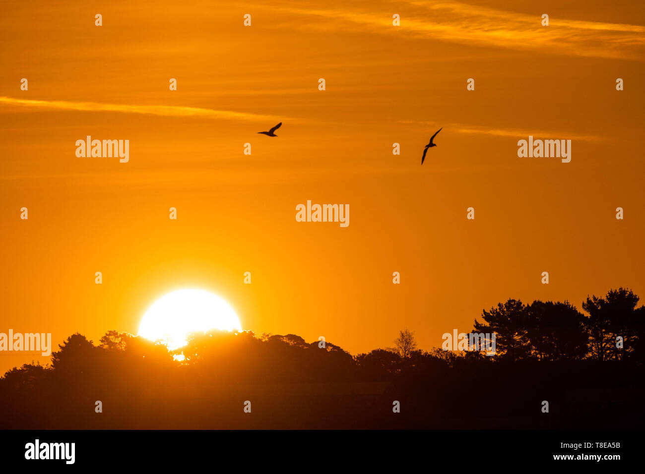 Aberystwyth Wales UK, Monday 13 May 2019  UK Weather: Sunrise over  Aberystwyth on the Cardigan Bay coast, West Wales, at the start  of a day forecast to be with clear blue skies and warm spring sunshine as pressure rises across the country over the coming days  photo credit Keith Morris / Alamy Live News Stock Photo