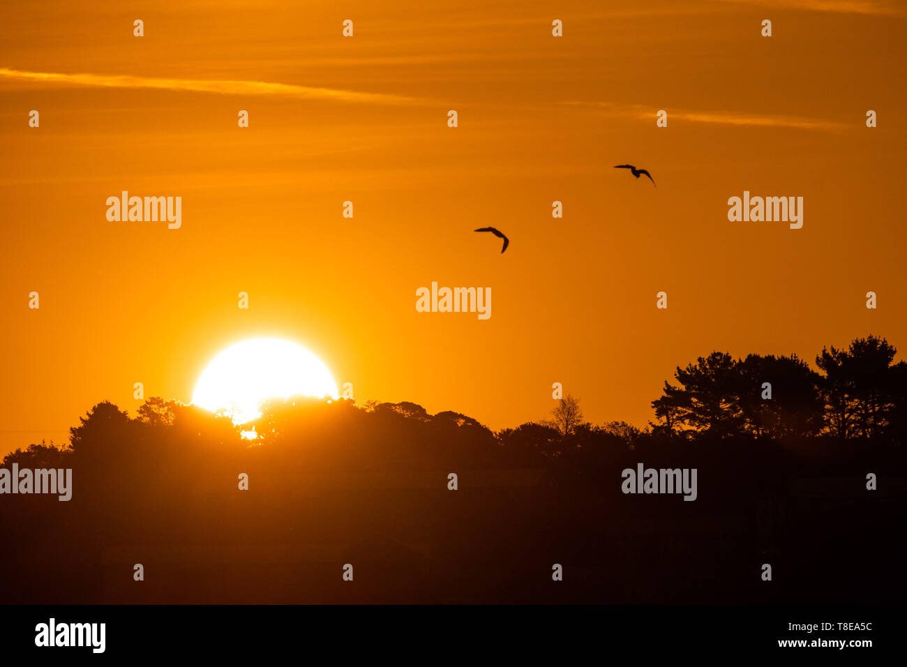 Aberystwyth Wales UK, Monday 13 May 2019  UK Weather: Sunrise over  Aberystwyth on the Cardigan Bay coast, West Wales, at the start  of a day forecast to be with clear blue skies and warm spring sunshine as pressure rises across the country over the coming days  photo credit Keith Morris / Alamy Live News Stock Photo