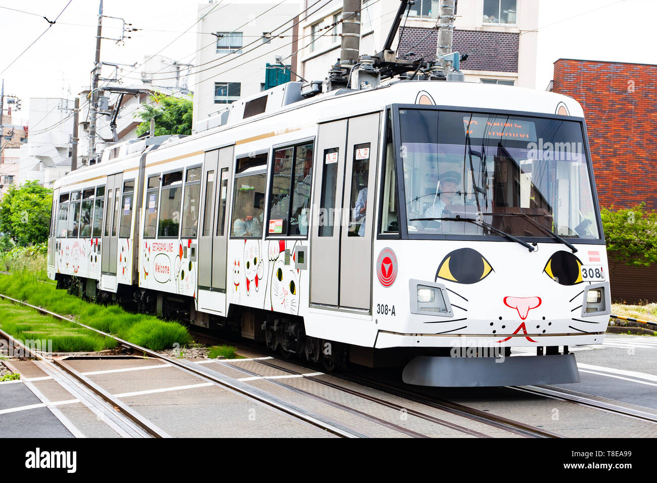 Лвс 2009 5838 волгоград. Трамвай 10 волгоград. Трамвай татра т5 волгоград. Трамвай ст3 волгоград. Трамвай ст волгоград.