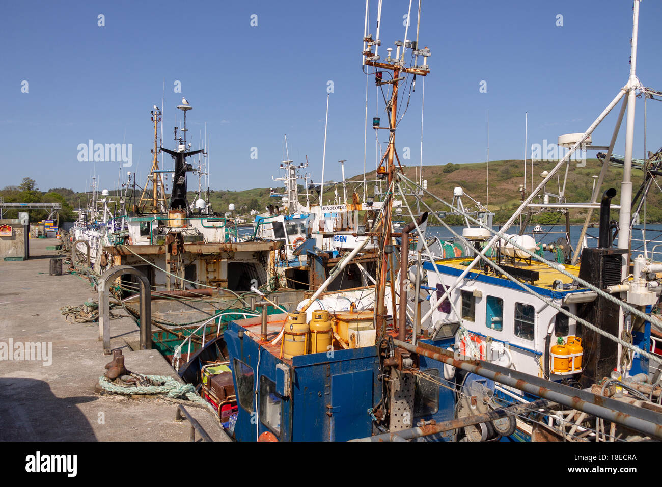 Union Hall, Ireland, 13th May 2019, The fishing fleet of Union Hall are waiting and worry about the Brexit outcome. The species they mainly fish for are Prawns (Langoustines), if they cannot get access to British waters the boat skippers say this fleet will be decimated. Credit aphperspective/ Alamy Live News Stock Photo