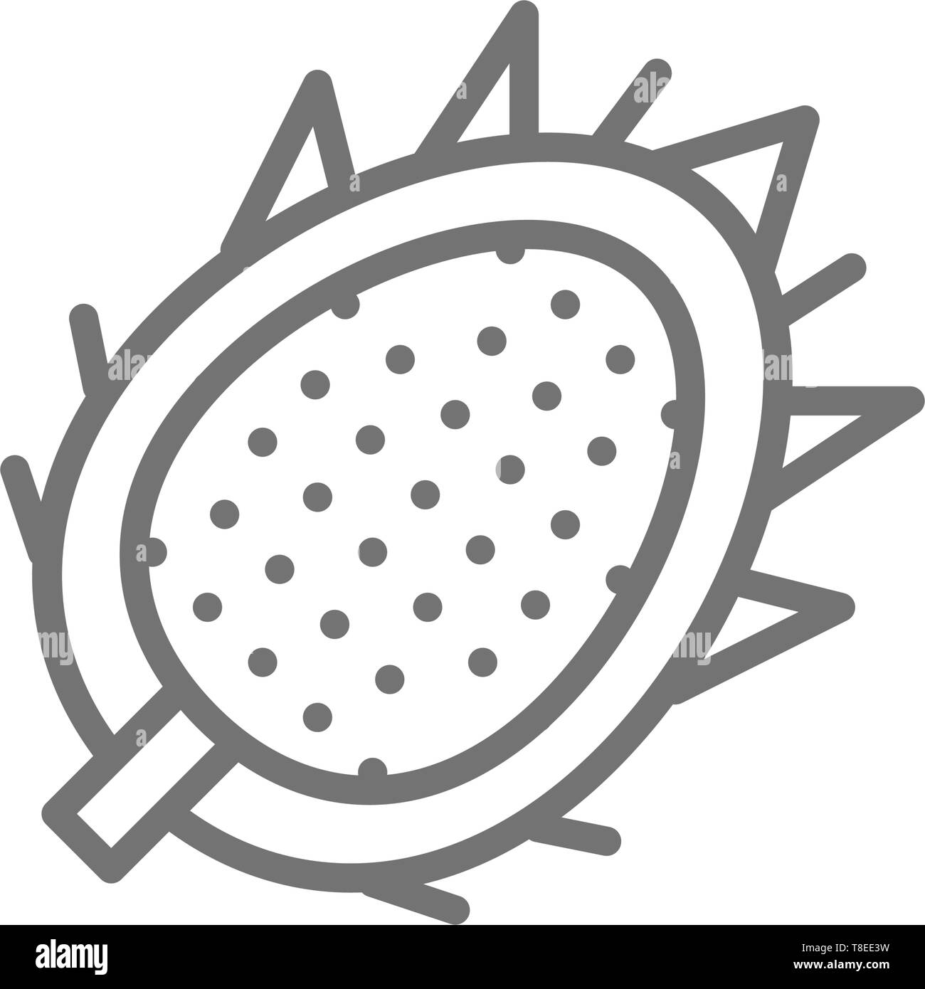 Pitaya icon vector line hi-res stock photography and images - Alamy