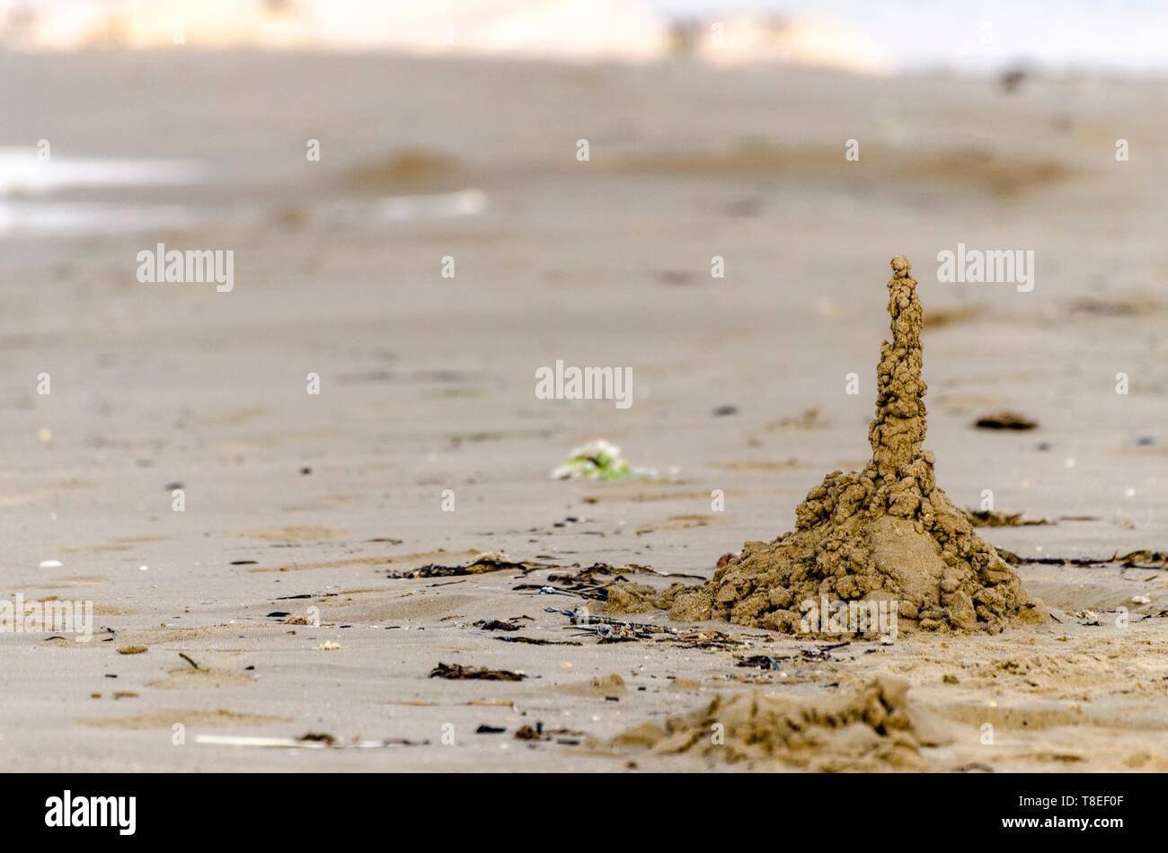 Sand composition on the beach Stock Photo Alamy