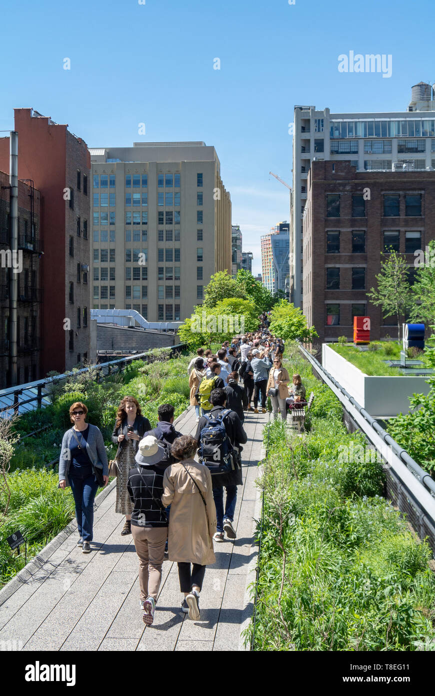 The high line, urban park redeveloped from an abandoned elevated rail