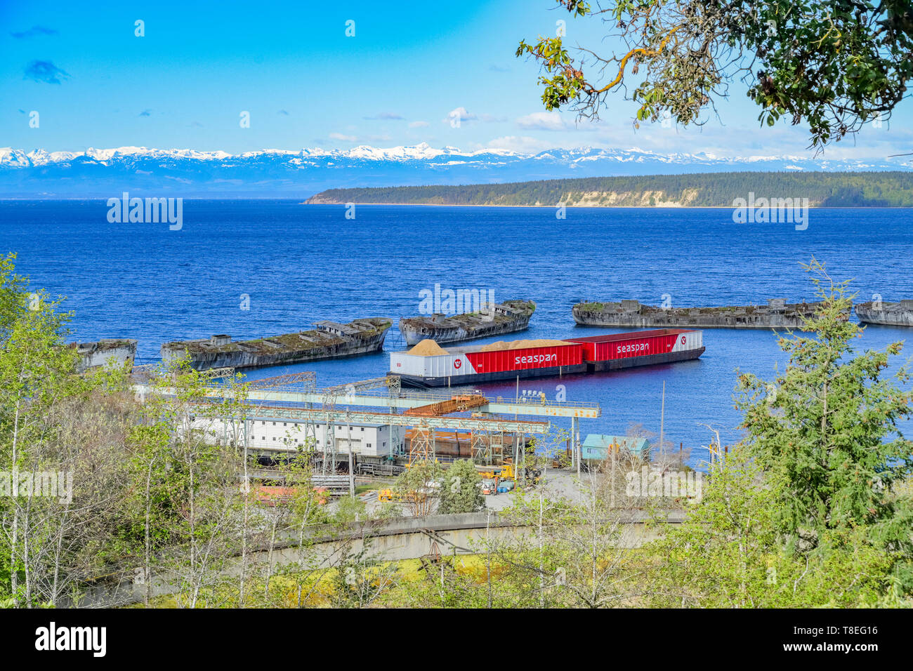 Old ship breakwater, Powell River, Sunshine Coast, British Columbia, Canada Stock Photo