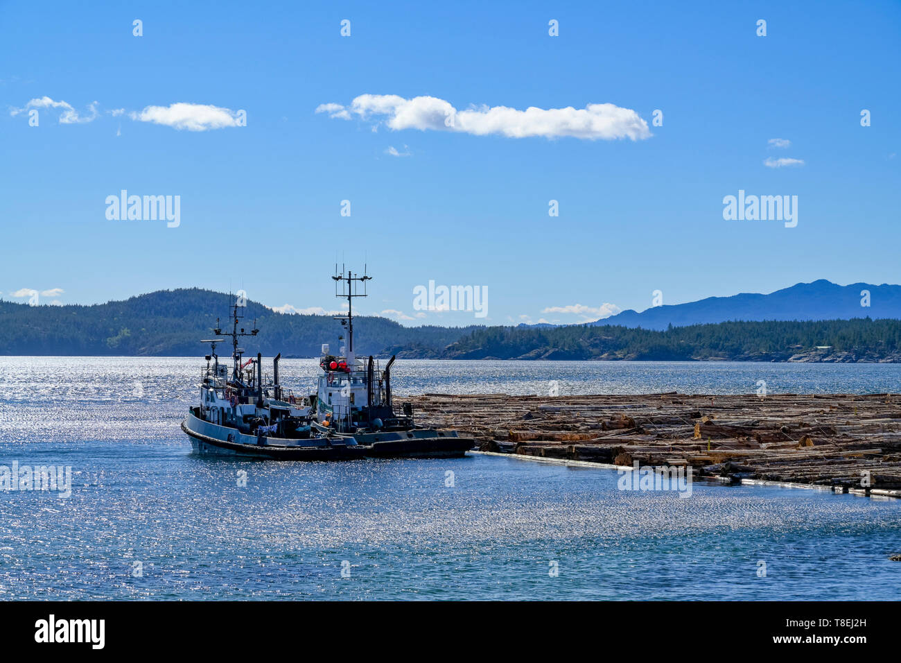 Tug and log boom, Halfmoon Bay, Sunshine Coast, ,British Columbia