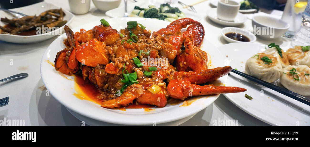 Over three pounds of fresh Maine lobster cooked Chinese Asian style. Stock Photo