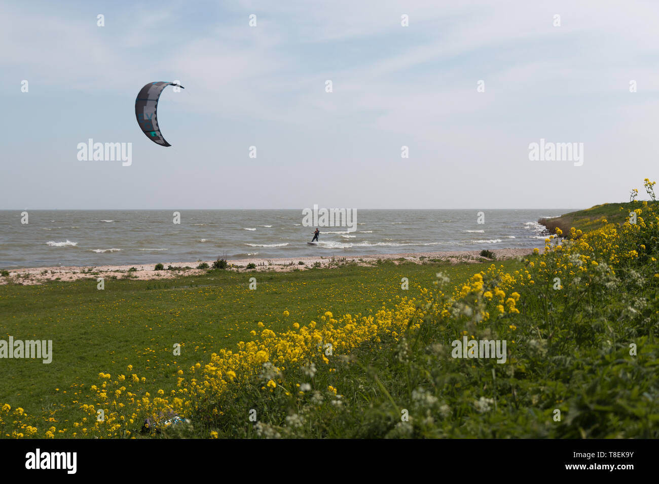 Netherlands beach with kitsurf, wind. Stock Photo
