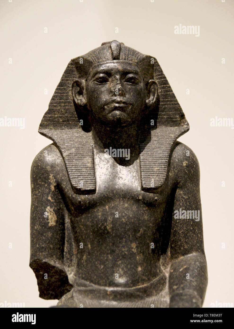 Portrait of Amenemhat III, king of Egypt (1853-1806 BC). Middle kingdom, 12th Dynasty. Black granite (1850-1800 BC). Hermitage. Stock Photo