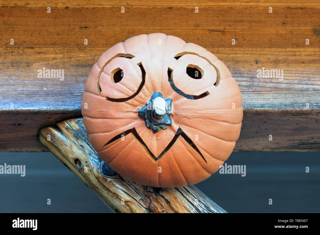 Puzzled Jack O' Lantern Halloween Pumpkin Stock Photo