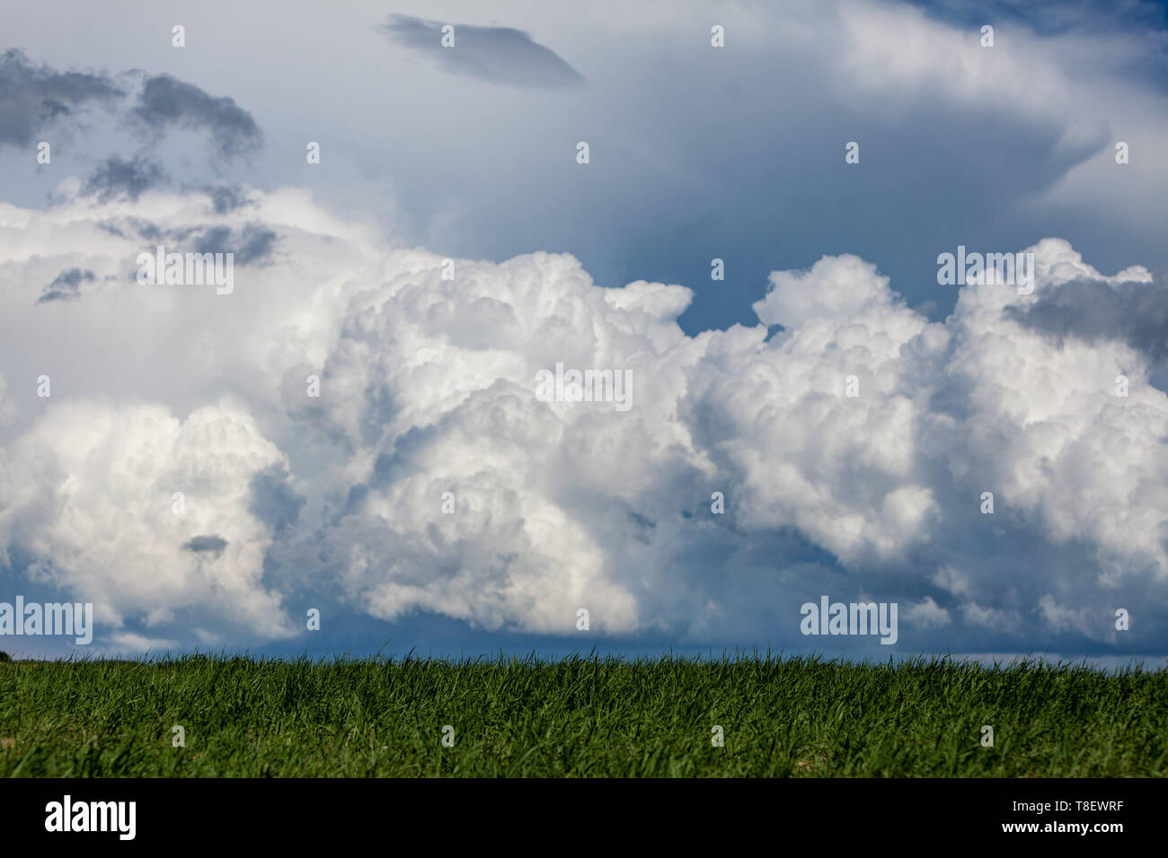landscape with storm clouds on the horizon Stock Photo - Alamy