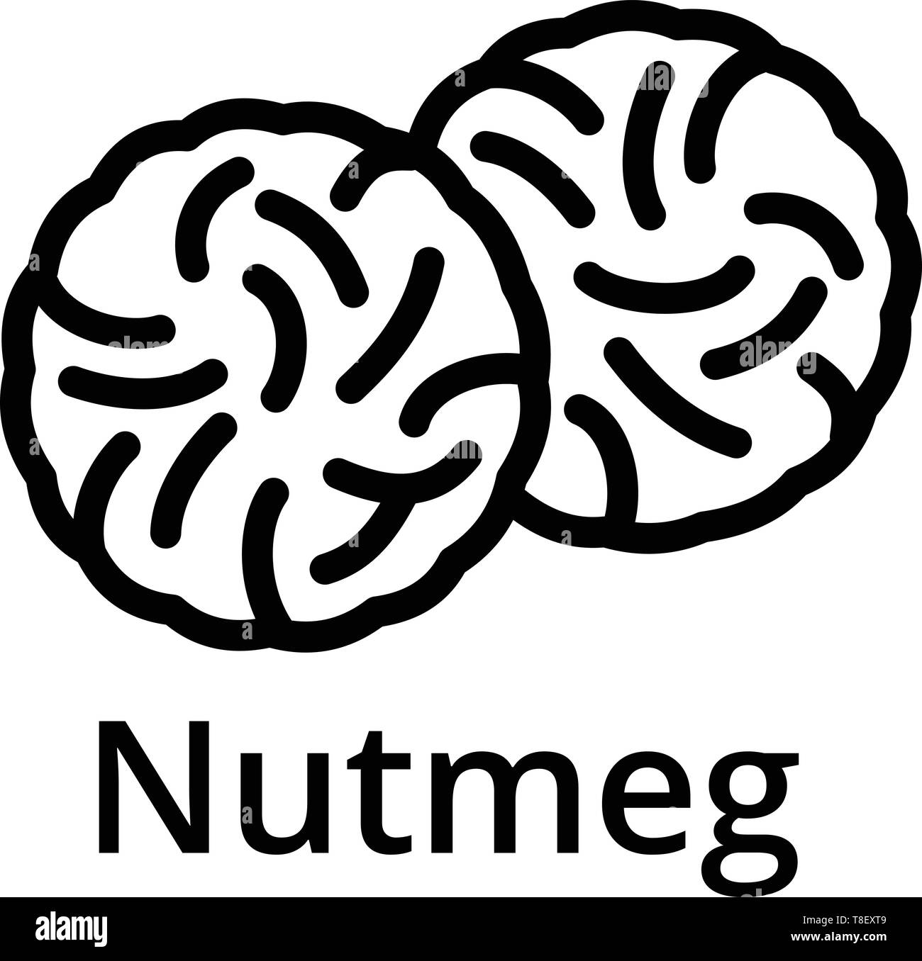 Nutmeg icon. Outline nutmeg vector icon for web design isolated on