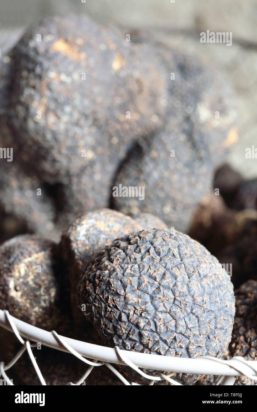 France, Dordogne, Perigord, black truffles (Tuber Melanosporum) Stock Photo