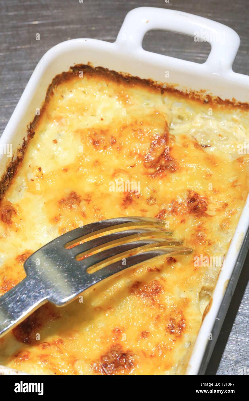 Cardoons gratin hi-res stock photography and images - Alamy