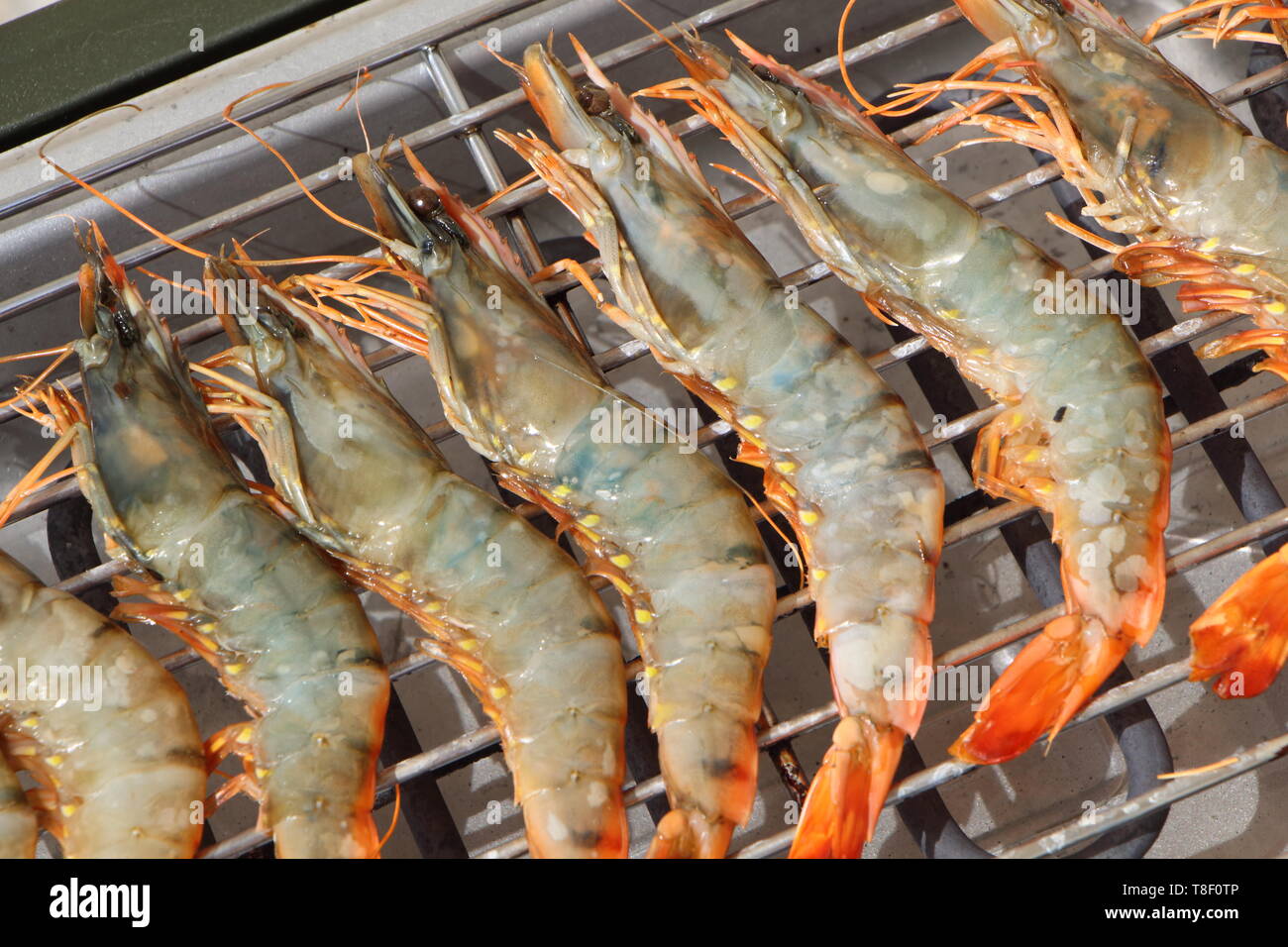 Prawns on the rack of an electric barbecue during summer Stock Photo