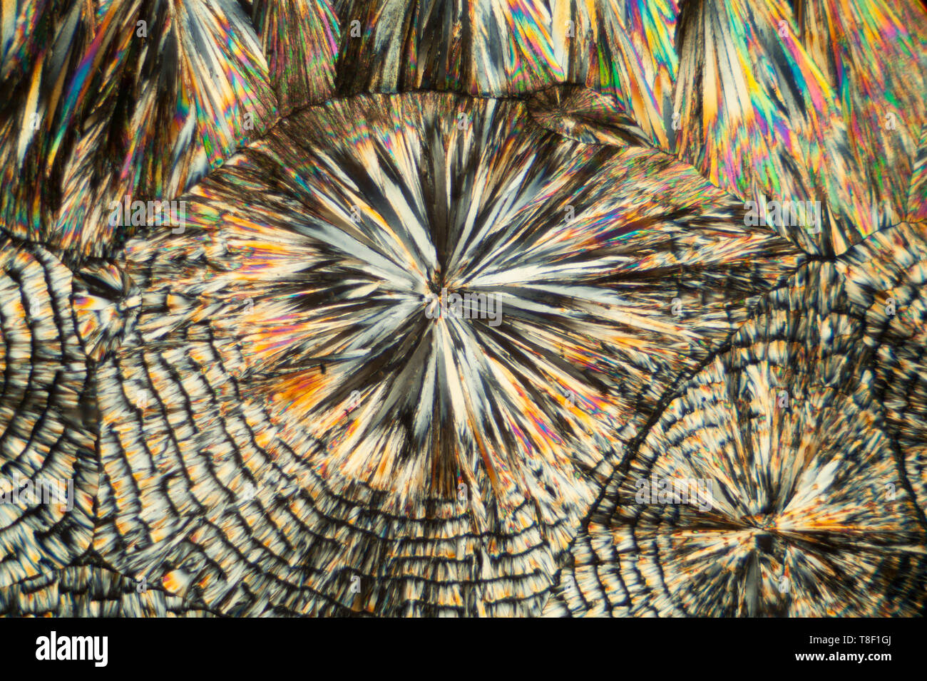 Caffeine photomicrograph, polarized illumination, hot melt slide preparation. Stock Photo