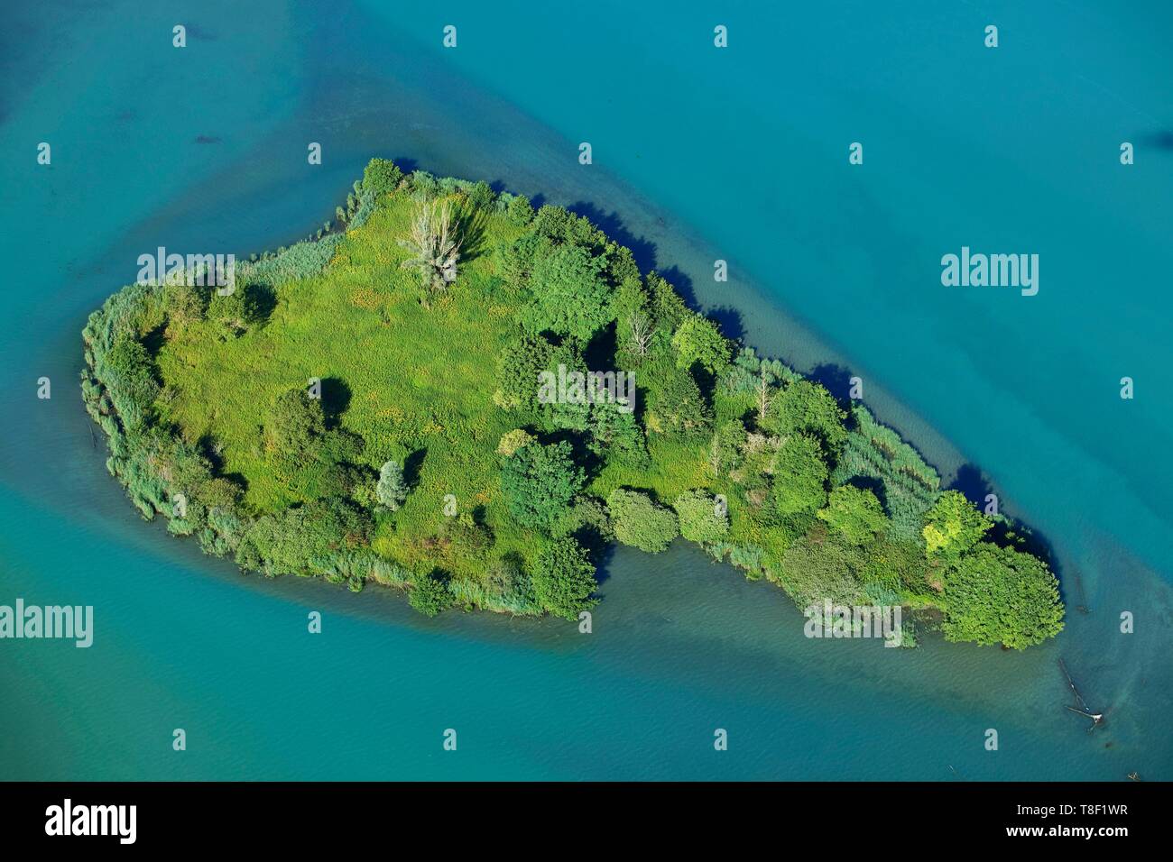France, Ain, Massignieu de Rives, king's bed lake on the Rhone, bird island (aerial view) Stock Photo